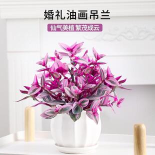 Wedding Oil Painting Hanging Orchid Potted Orchid Brocade Purple Dew Orchid Balcony Indoor Desk Hydroponic Plants Easy to Grow Green Plants and Florals