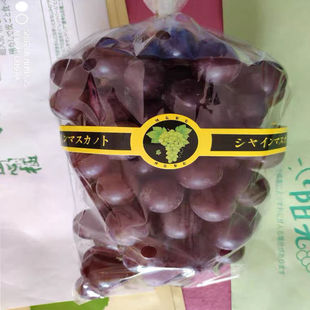 [Free Shipping] Sunshine Rose Grape Transparent Bag Transparent Special Wrapping Paper Qingwang Grape Summer Black Boutique Anti-Fog