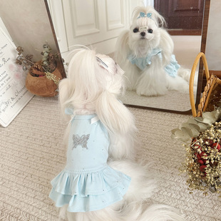 �׷����S��ֱ�N����؈������´��＃�޺����ȹ�W��w�乫��ȹ