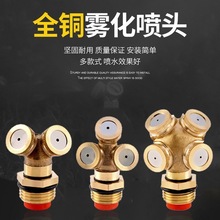 ���{�F�����^�����^���س��m�����S�����؈@ˇ���F�����^�r�Ç��^