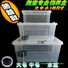 ����͸�����x��B�з���������B������،m����ϐ�����x�����o