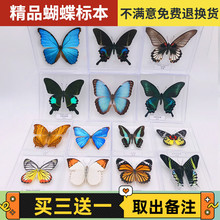 �����Ӻ����˱��[����������x�˱�չ��W���������նYƷ͸�����b