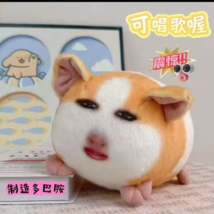 �i椒��ë�q��߸�ֺ��m�i��ż���l�����������Ů�·����