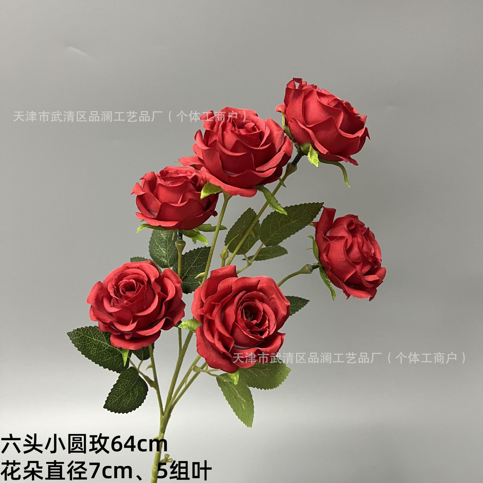 여섯 개의 작은 둥근 장미