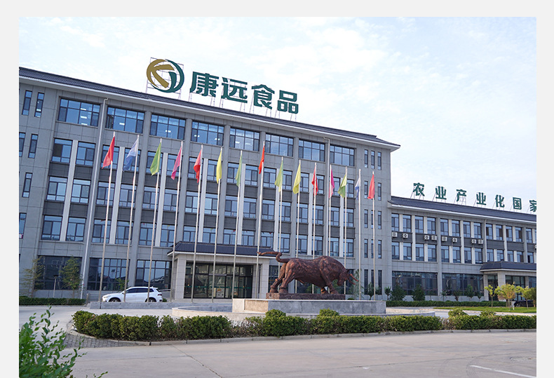 产品2-河北康远清真食品股份有限公司_17