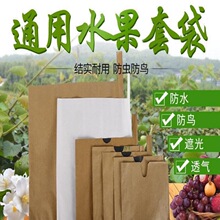 跨境枇杷梨子芒果套袋苹果桃保护袋包黄桃柚子水果袋防虫代发