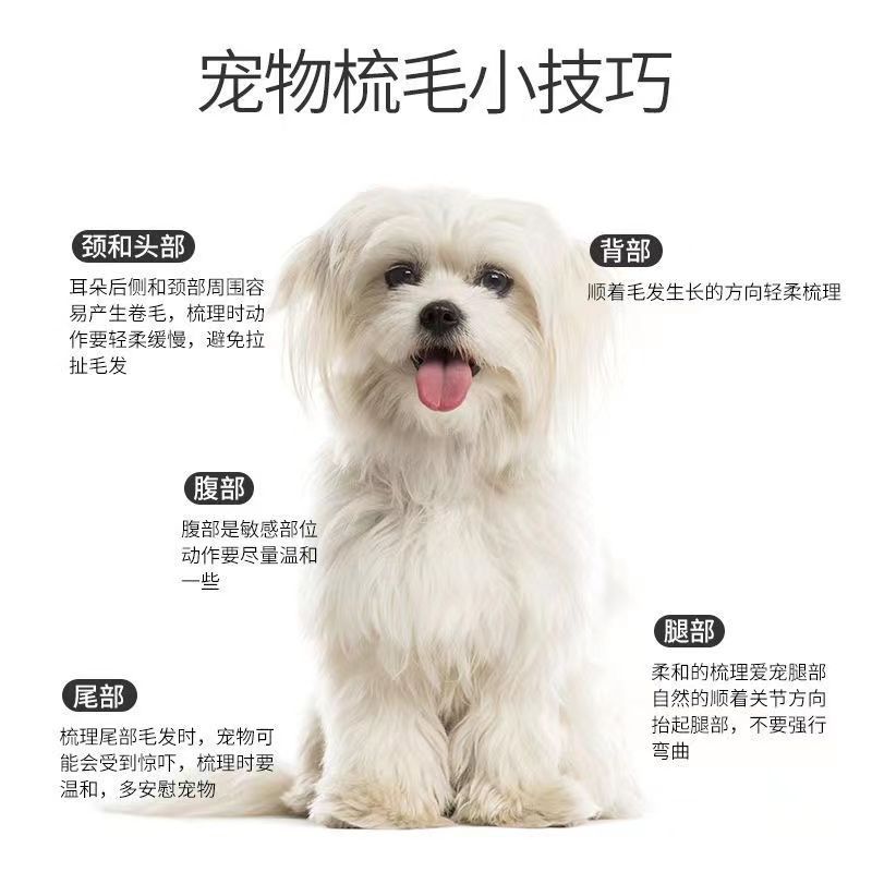 Peine para eliminar pulgas para perros Peine para eliminar pulgas y piojos Peine para eliminar el pelo flotante Peine para eliminar el pelo de gato Limpiador para mascotas