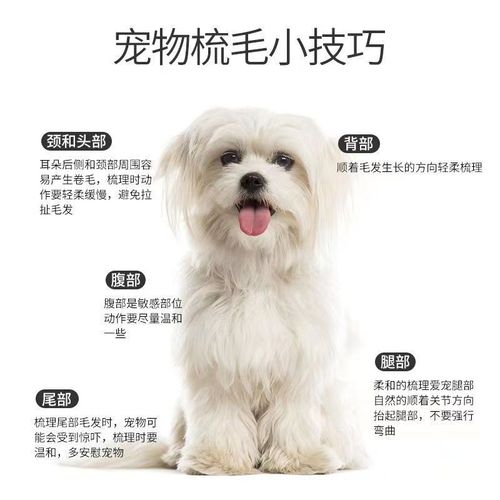 Cat Flea Comb, Dog Tick and Lice Comb, Dense Tooth Comb, De Fur Brush, Cat Hair Fall Remover, Pet Supplies