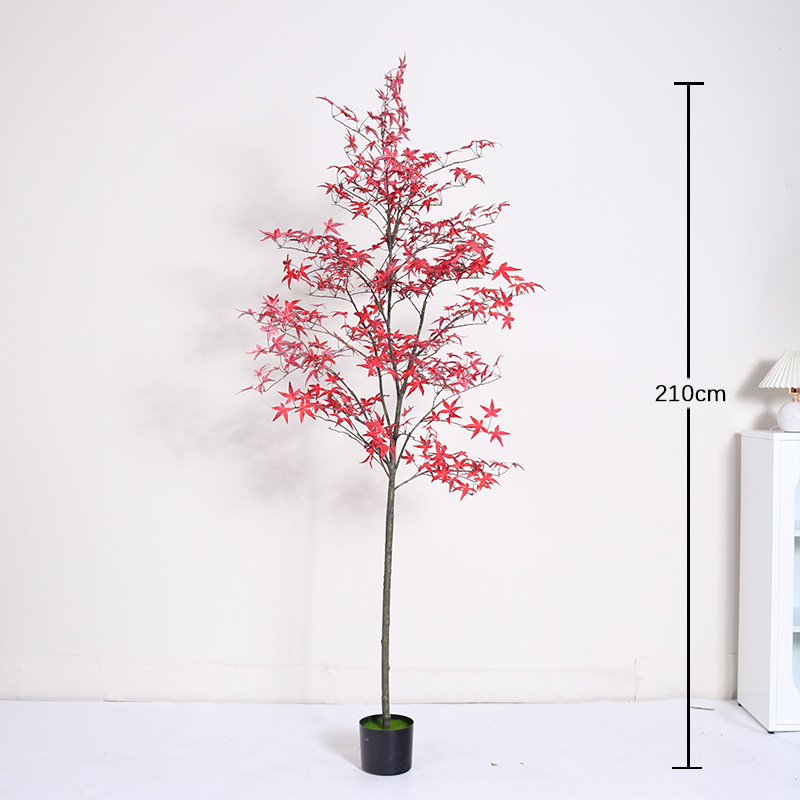 Mini planta en maceta de hoja de arce rojo regular 210cm (viene con una maceta negra)