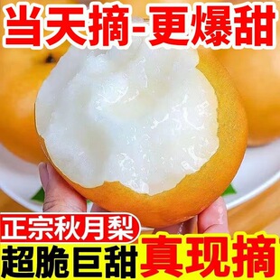 ������5��������������rˮ�������֭Ƥ�����ā���������r