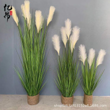 ƷGֲԿ͏d̨JȔ辰[βͲֲ滨