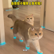 ؈��l��Ь���ﹷ��Ь������ҹ�⃺ͯ���ҹ�g����С����]؈�b��