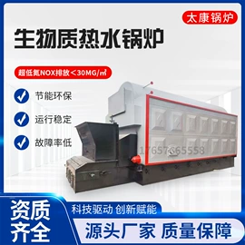 燃气锅炉;蒸汽发生器;燃生物质锅炉