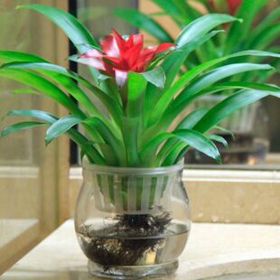 ���\���^�����r���P��ˮ�໨�����׼t���P�滨��G��ֲ��ˮ�B�҃�