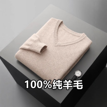 秋冬男士羊毛衫加厚V领休闲商务保暖纯100羊毛针织打底毛衣上衣