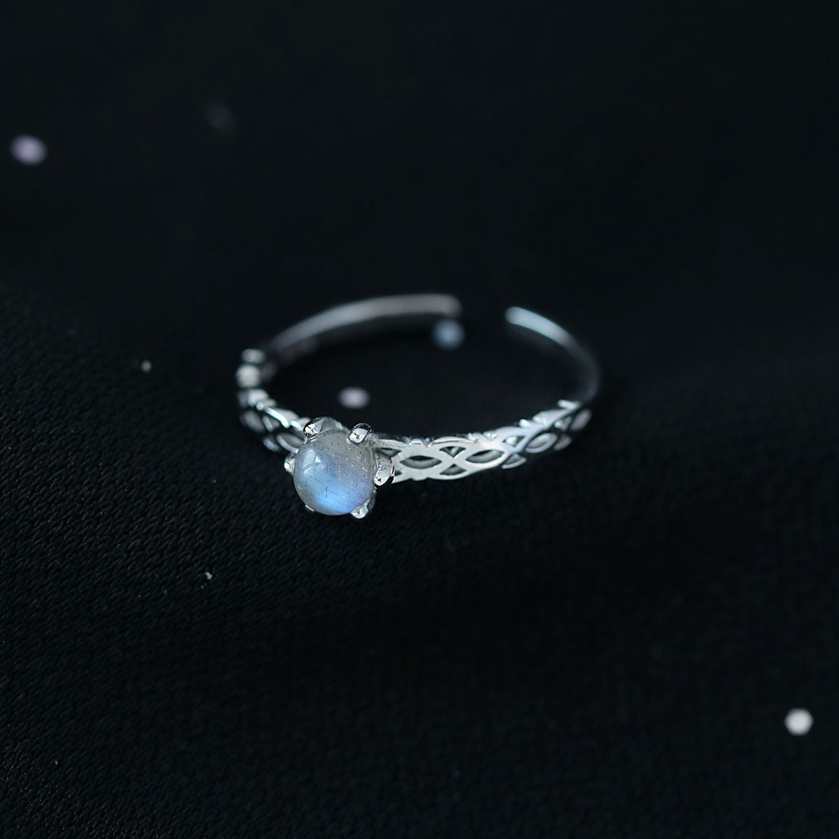 12327820501_425181907