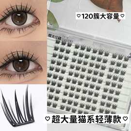 超大量粘胶款轻薄款猫系不扎眼轻盈分段式韩式氛围感清透自然