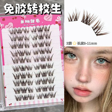 ���������z�DУ���ٽ�ë���؝������R������Ȼ�������N�ֶν�ë