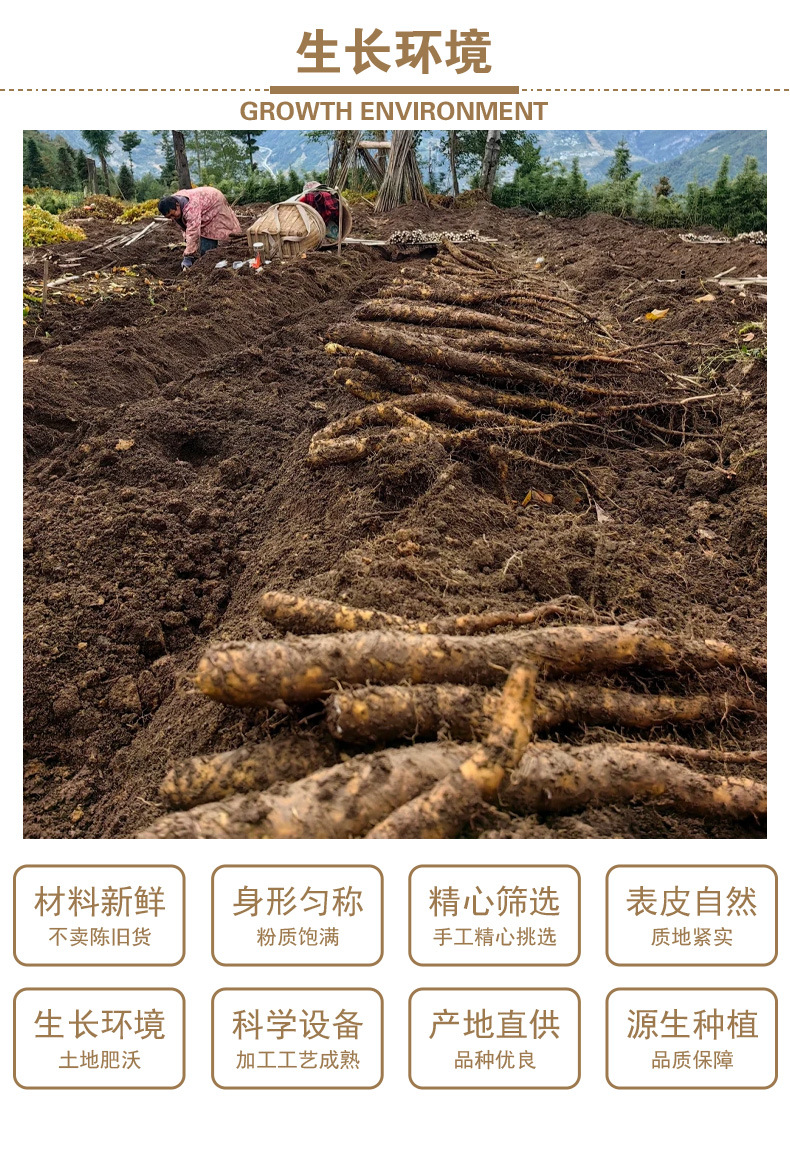 Huai Shan Yao Dried Slices (Dioscorea opposita) — Sulfur-Free Chinese Yam for Tea & Soup quality and texture