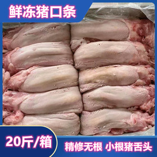 ����i���^С���i�ڗl �����i�� �o���������20�� ����ð��]