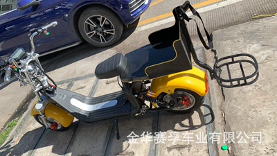 Scooter with Golf Rack, Elektrikli motosikletlər