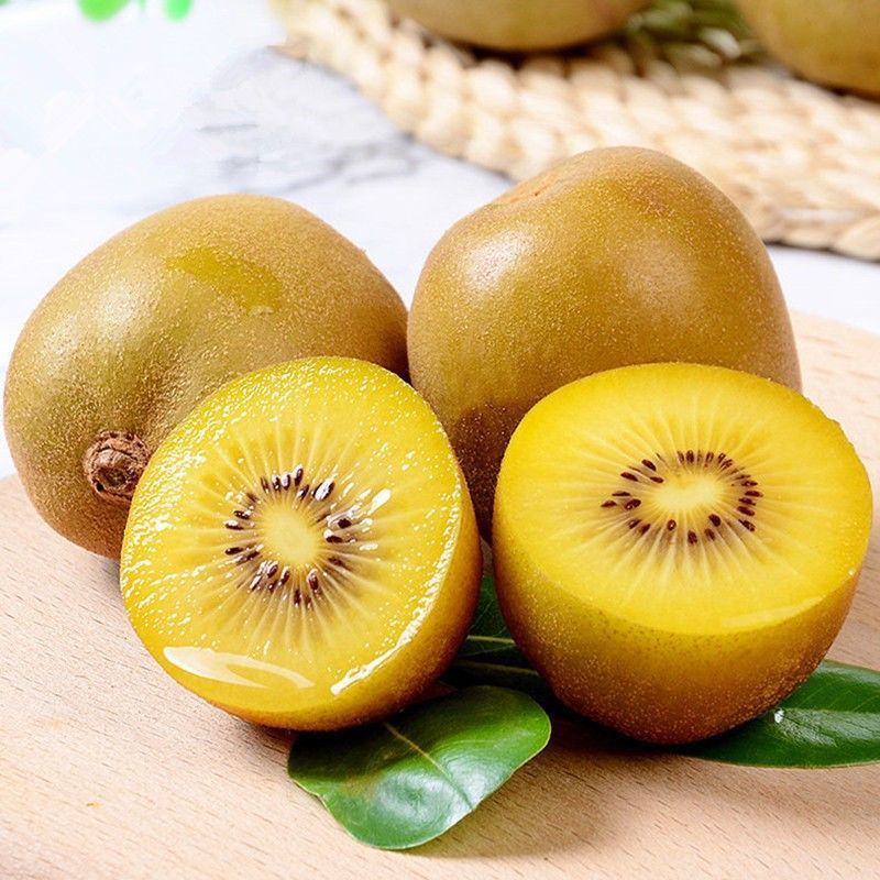 Kiwi Yellow Heart fresh Season fruit Kiwi Full container Walnut wholesale