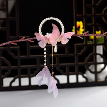 �h�����b���w�����^��L��ͯ�ɐ۰l�A�����K�l�����������l�