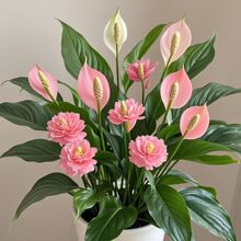 ����һ���L��������҃Ȼ�������ֲ��Gֲ�͏dˮ��ה[�Ń����՚�