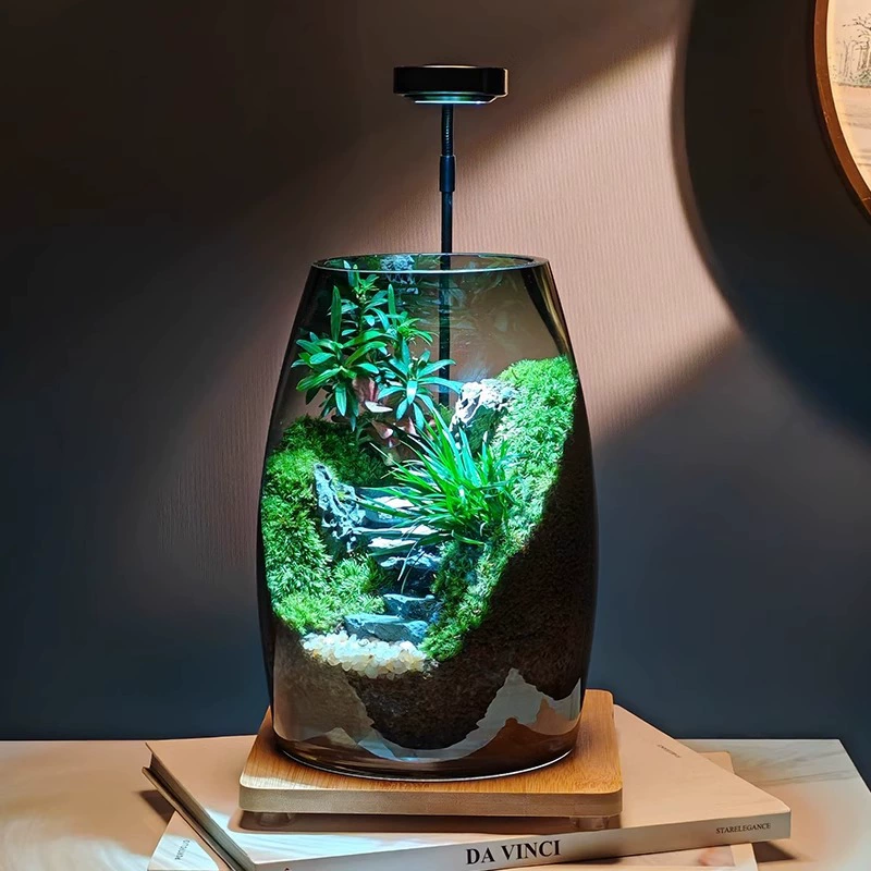 Дорога к успеху, пейзаж, бутылка, Древо жизни, креативные микронаборы из мха, офисный настольный резервуар, зеленое растение, ландшафтный дизайн, бонсай