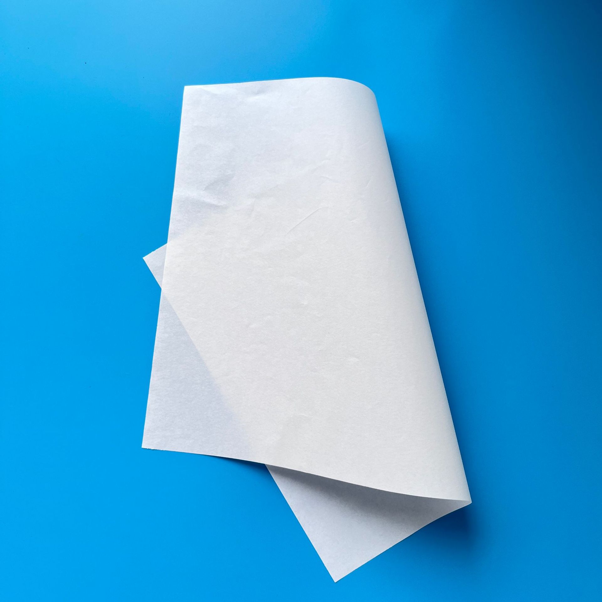 微信图片_20250419144816