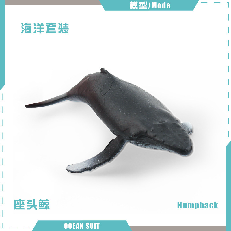 Ballena jorobada BL-5299 11g
