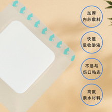 ˮ�z�w���� ��߅�쯏�N �����N ��ճ���N ���o�����N1 0*10cm