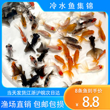 ���~���~�^�p�~С�͵�ˮ���B��ˮ�~������С���~�m���\�����B�ͻ�