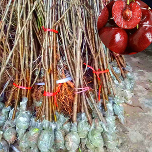 ���ꬔ觼t���Ҙ� �����m����� ���]�޽����Ϸ��Nֲ���ҹ���ֱ�N