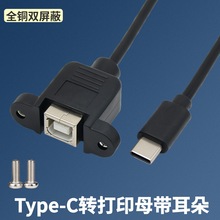 Type-C�D��ӡĸ���L���������ݽz�׿ɹ̶�USB3.1���D����BF������