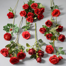 �tɫϵ��c��Y���滨��t�Ƽt�߼��мٻ��ļҾ�����ʽ�b��й�