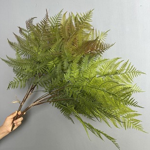����ާ�ֲ���˹�ݷ���ݲ�˹ާֲ��b���ާ���ָ����ϲ�