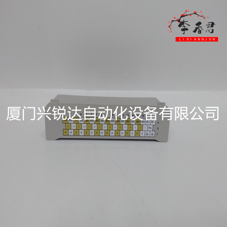 VE4003S2B1 ENERSON 远程接口单元和输入输出模块