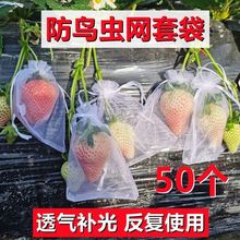 水果套袋防鸟防虫专用网袋葡萄无花果枇杷芒果苹果袋草莓保护袋子