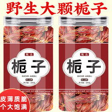 �d��500g֦���S�d�ӹ���ș�� ɽ�d�Ӽt֦�ӗd�ӻ��� ���l���l����