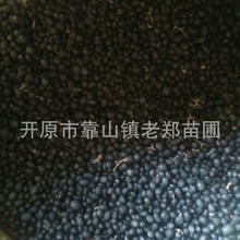 lGľˮDNѲˮϞѰlѿʺС~Ůؑ^pGֲ