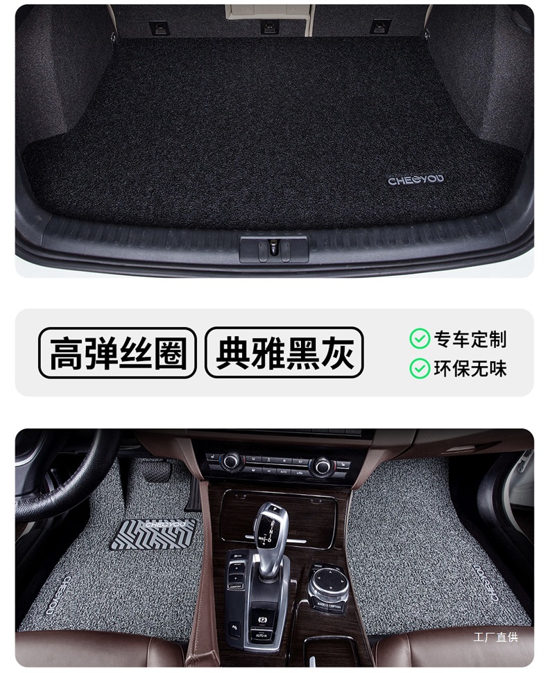 Car Floor Mat for the Driver's Seat, Single Piece Mat for the Driver's Seat, Single Wire Loop for the Passenger's Seat, Special Mat for the Passenger's Seat by Zhepei Hui
