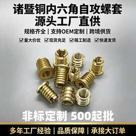 诸暨铜内六角自攻螺套 黄铜自攻螺母 非标厂家定制批发