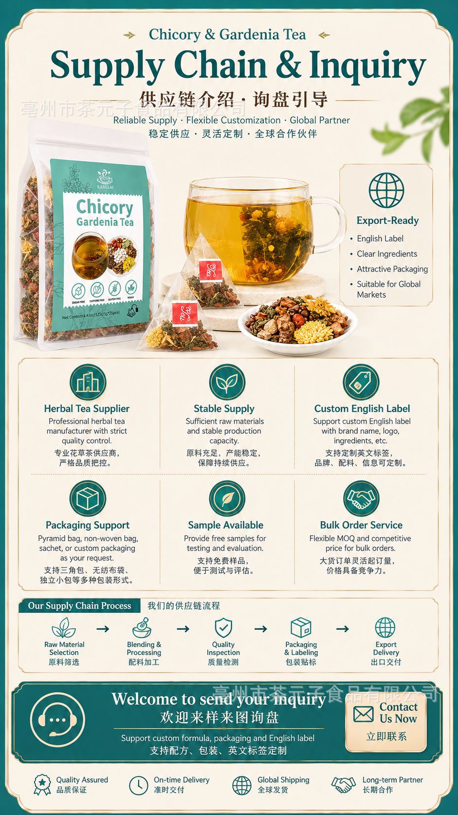 Chicory and Gardenia Tea Bags Zhi Ju Cha 25 Tea Bags with Chrysanthemum Dandelion Root and Mulberry Leaf in use