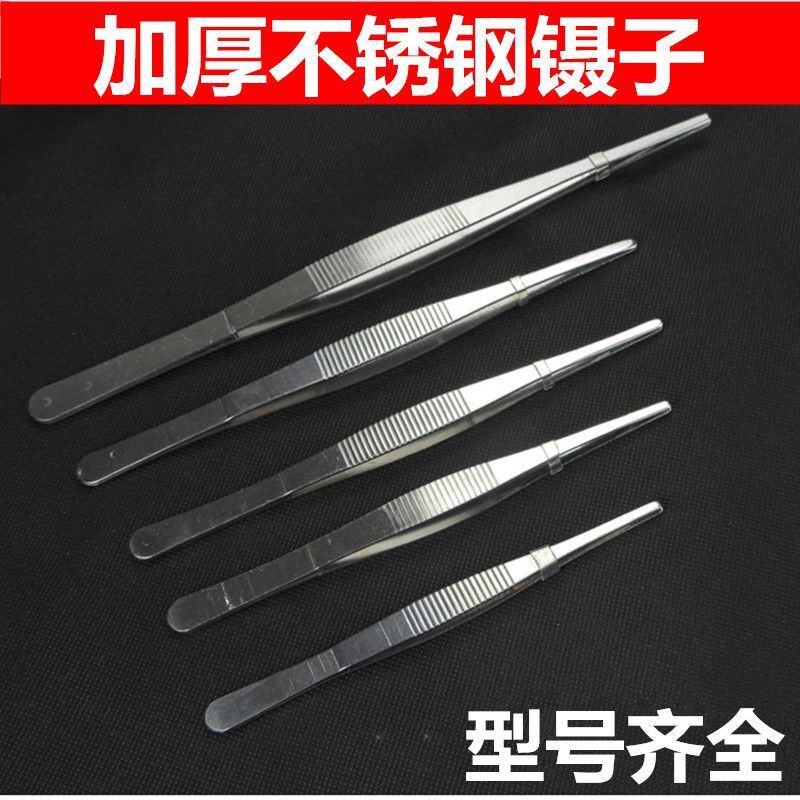 不锈钢镊子圆头镊子手动工具家用不锈钢镊子耐用12.5cm 现货