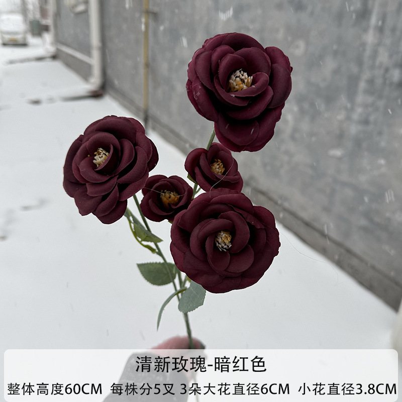 다크 레드