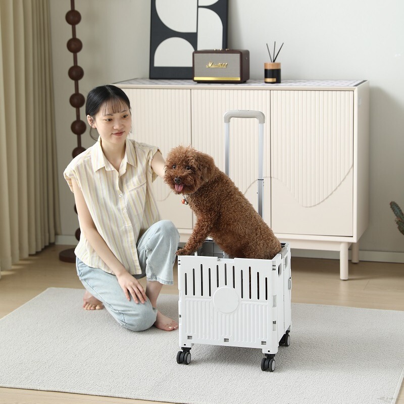 Pet Cart for Small and Medium-sized Dogs Lightweight Foldable Teddy Corgi Cats Walking Dogs Going Out Lightweight Hand-propelled Sober