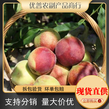 ��������������rˮ��ˮ�����������]����ˮ��ˮ��������һ�����l