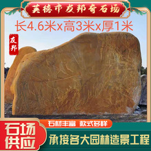 大型黄蜡石刻字黄蜡石村口门牌石校门刻字石公园草坪点缀石点景石