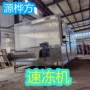 冷冻连续式隧道式生产线网带
